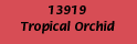 00010.gif (675 bytes)