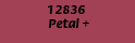 00012.gif (503 bytes)