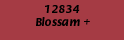 00015.gif (557 bytes)