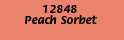 00020.gif (700 bytes)