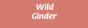 00079.gif (472 bytes)