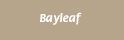 00084.gif (408 bytes)