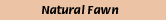 00095.gif (481 bytes)