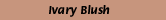 00098.gif (497 bytes)